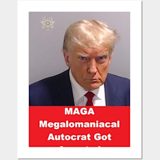 Trump's Mugshot Posters and Art